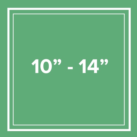 Category: 10\